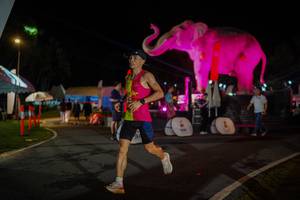 BIB: 
                            <button type="button" onclick="openModal(26552164)" class="btn btn-primary btn-sm float-right btn-popup" data-toggle="modal" data-target=".modal-high-quality">
                        <i class="fas fa-shopping-cart"></i> Add to Cart
                    </button>
                                            <button type="button" onclick="isThisMe(26552164, true)" class="btn btn-success btn-sm float-right btn-popup btn-isme hidden" data-toggle="tooltip" data-placement="bottom" title="นี่คือรูปของคุณใช่ไหม คลิกที่นี่เพื่อเอาเข้าอัลบั้ม">
                        <i class="fas fa-plus"></i> Add to album
                    </button>
                    <button type="button" onclick="isThisMe(26552164, false)" class="btn btn-warning btn-sm float-right btn-popup btn-isnotme hidden">
                        <i class="fas fa-ban"></i> Remove from album
                    </button>